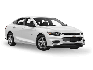 Premium Malibu